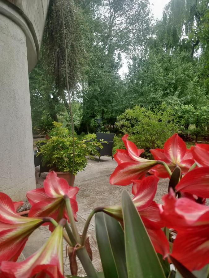 Da Nonna Mariuccia Bed & Breakfast Casalbuono ภายนอก รูปภาพ