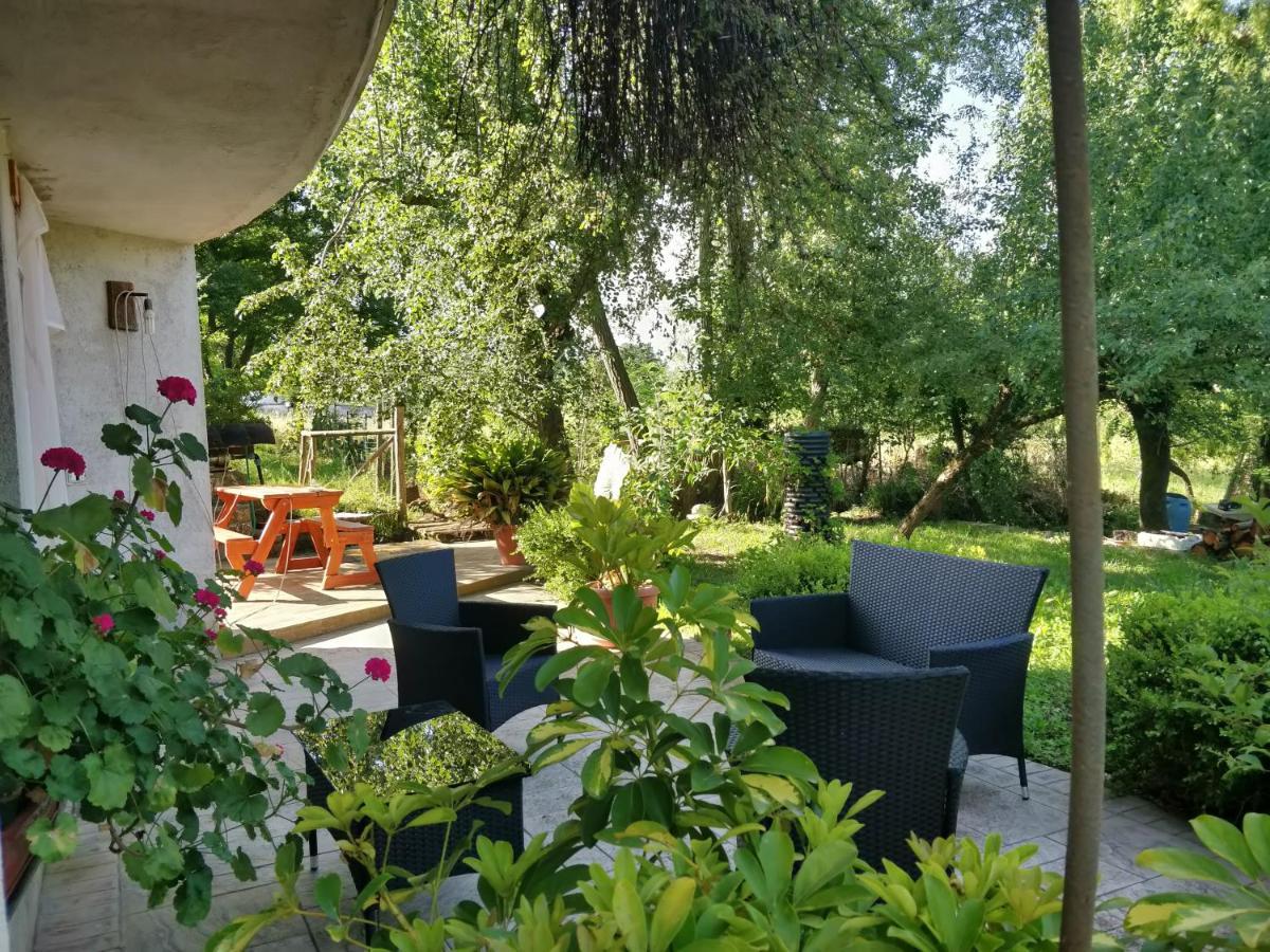 Da Nonna Mariuccia Bed & Breakfast Casalbuono ภายนอก รูปภาพ